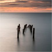 Steven Docwra - Standing Tall